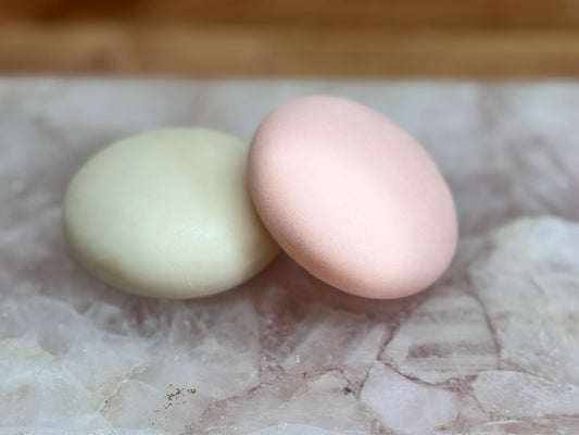 Ginger and Rice Protein Shampoo and Conditioner Bars