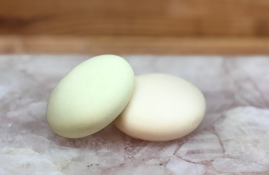 Aloe Vera and Green Tea Volumizing Shampoo and Conditioner Bar